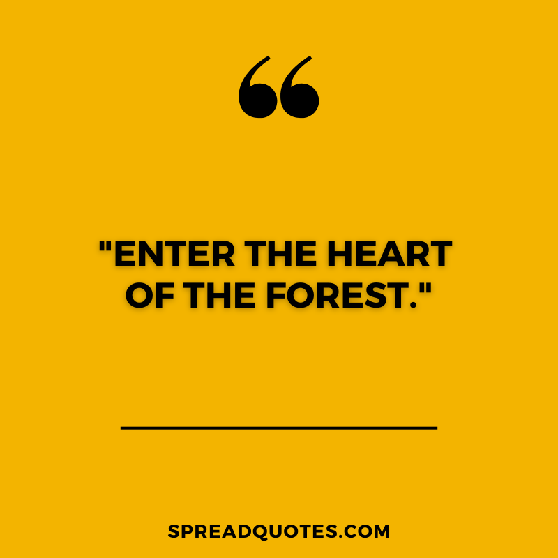 Forest-captions-about-heart