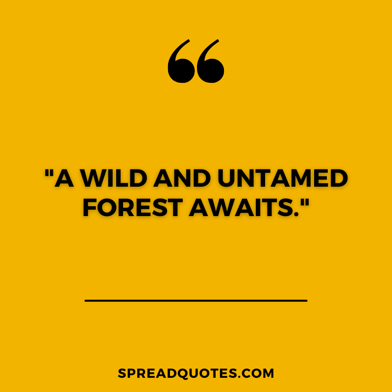 Forest-captions-about-wild