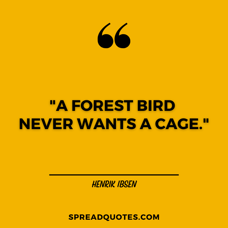 Forest-quotes-about-bird