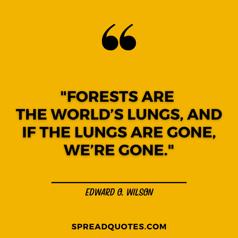 Forest-quotes-about-lungs