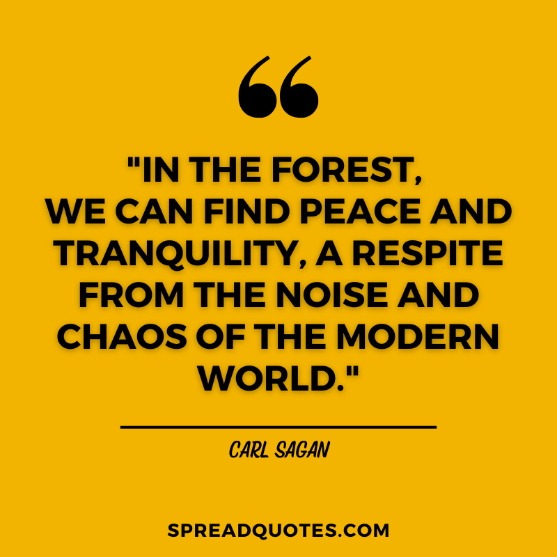 Forest-quotes-about-peace