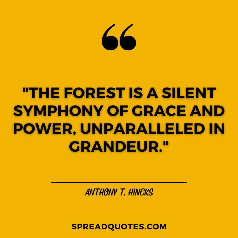 Forest-quotes-about-silence