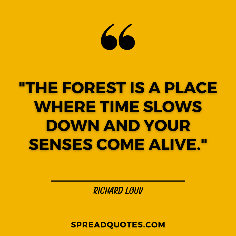 Forest-quotes-about-time
