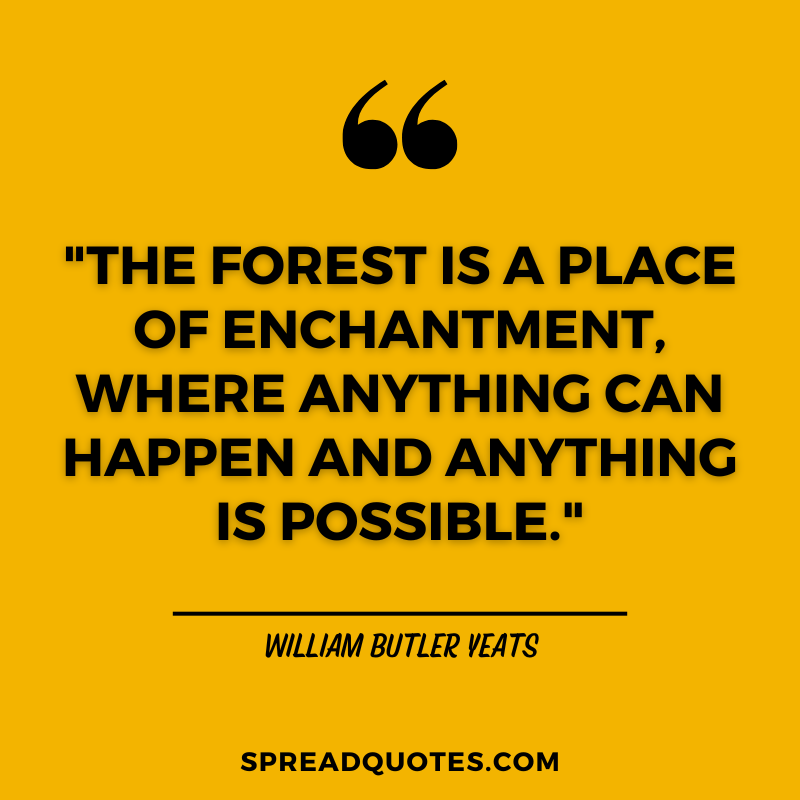 Forest-quotes-by-william-butler-yeats