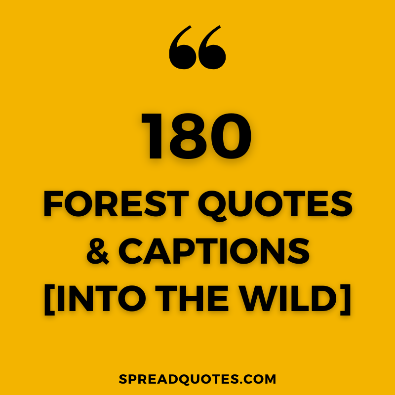 Forest-quotes-captions