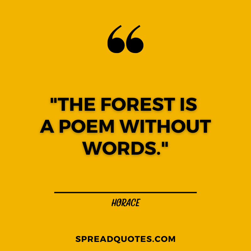 Forest-quotes-image