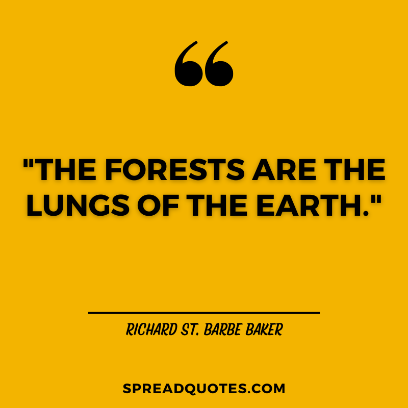 Forest-quotes-images