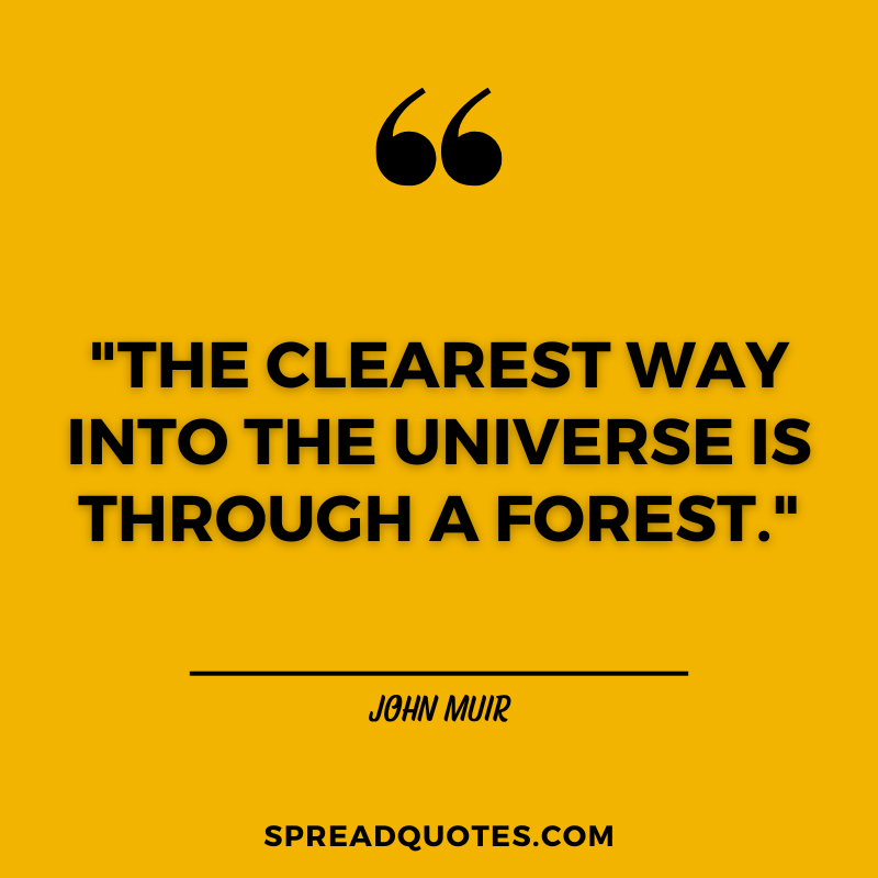 Forest-quotes